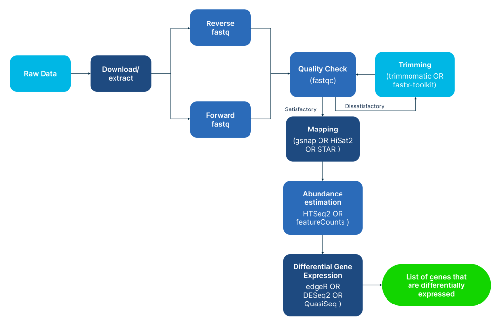 The Multi-Step RNA-Seq Pipeline: From Raw Data to Biological Insights. Source: Bioinformatics Workbook